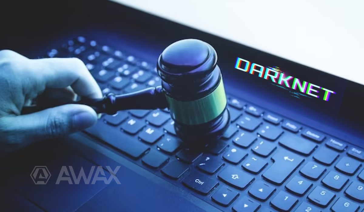 dark web how to access